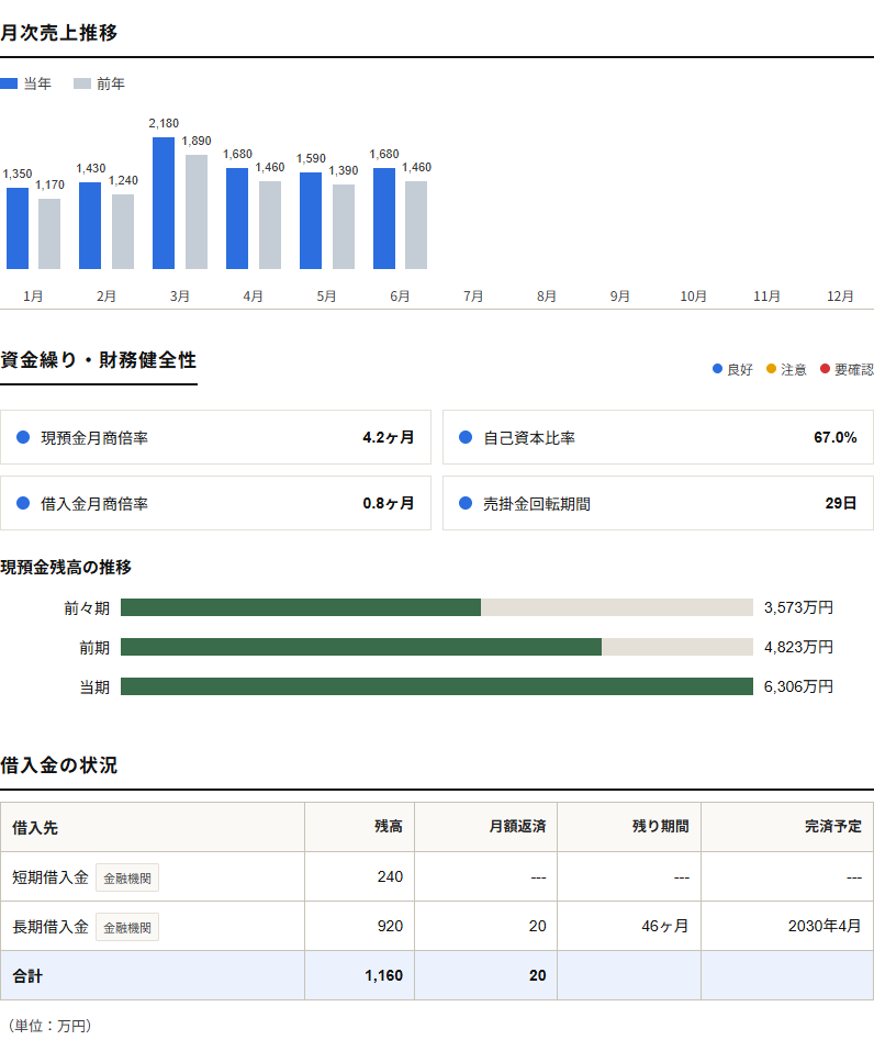 月次レポート: 月次売上推移・資金繰り・財務健全性・借入金の状況